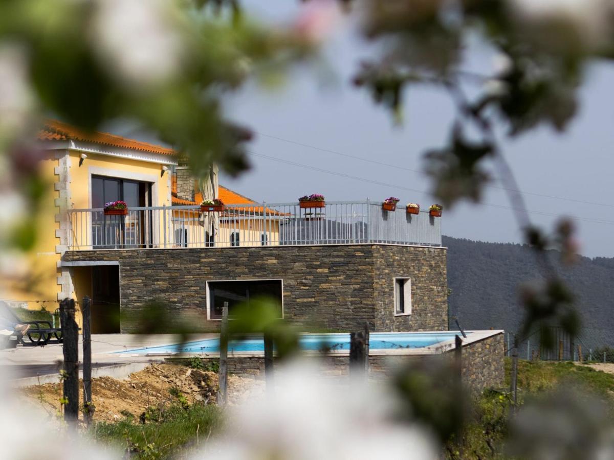 Quinta Da Laceira - Douro Valley - Alojamento Local Vila Vila Real Exterior foto